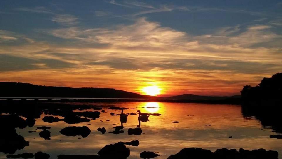 Apartman Dawidh Šibenik Extérieur photo